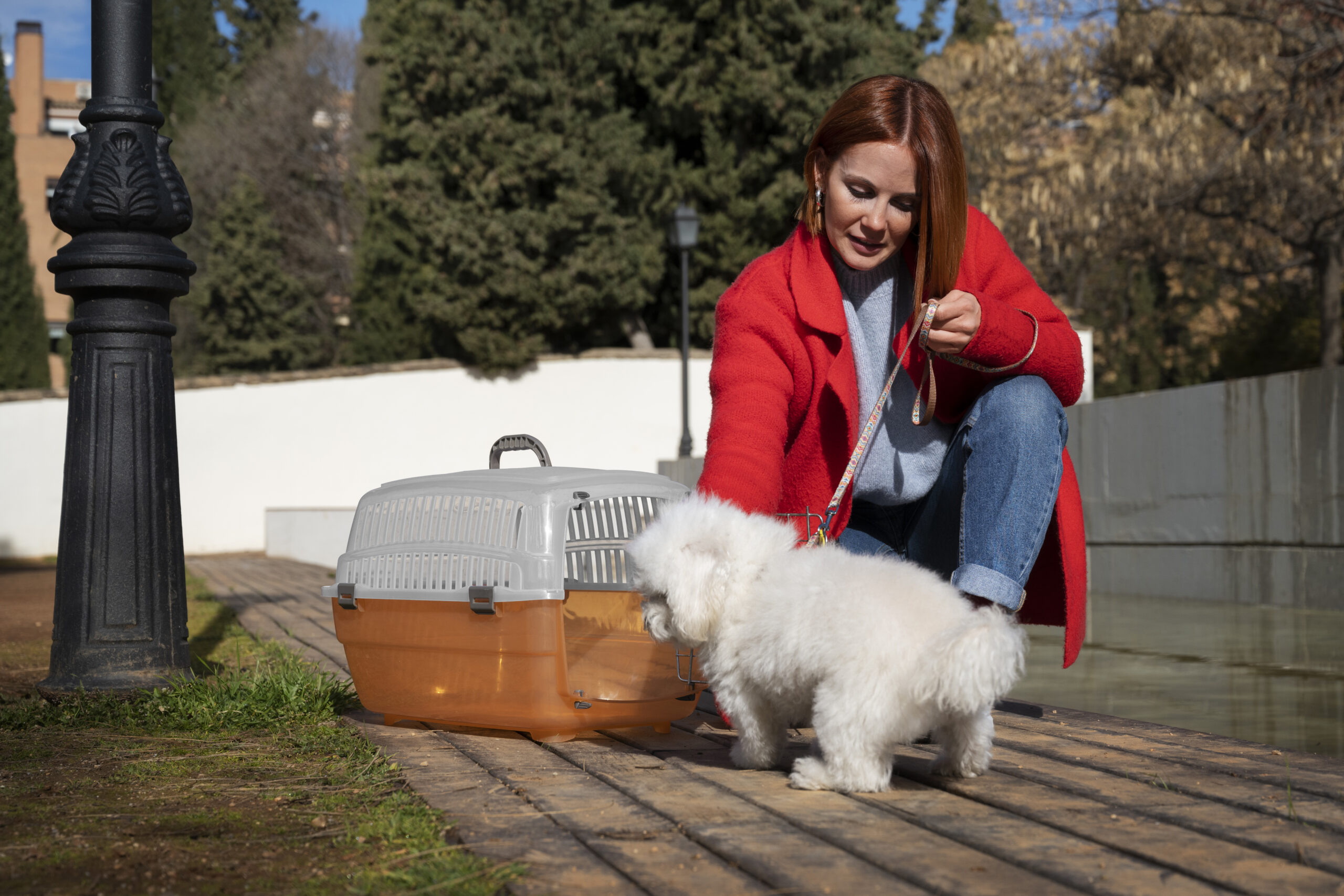 pet-boarding-in-chandigarh